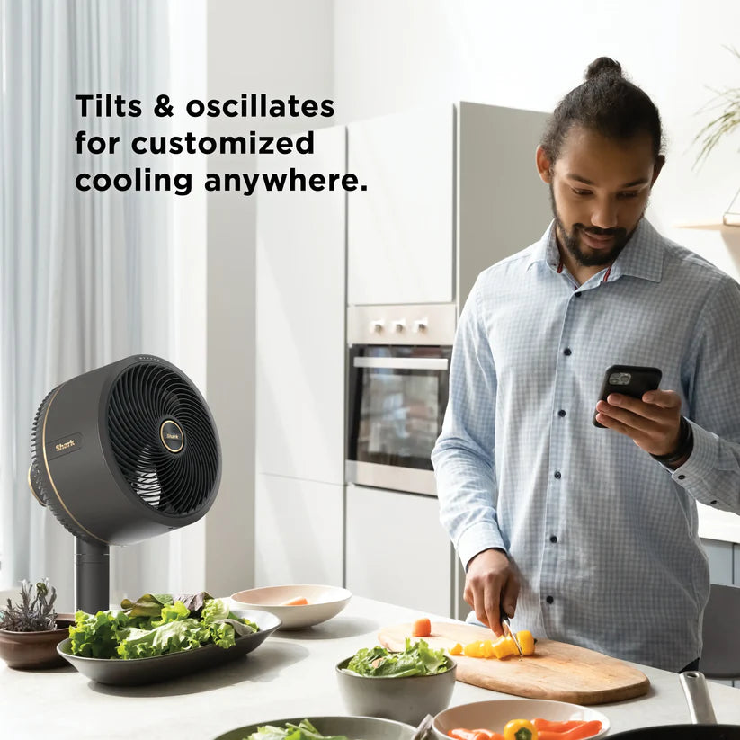 Portable Outdoor Cooling Fan System