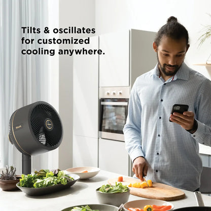 Portable Outdoor Cooling Fan System
